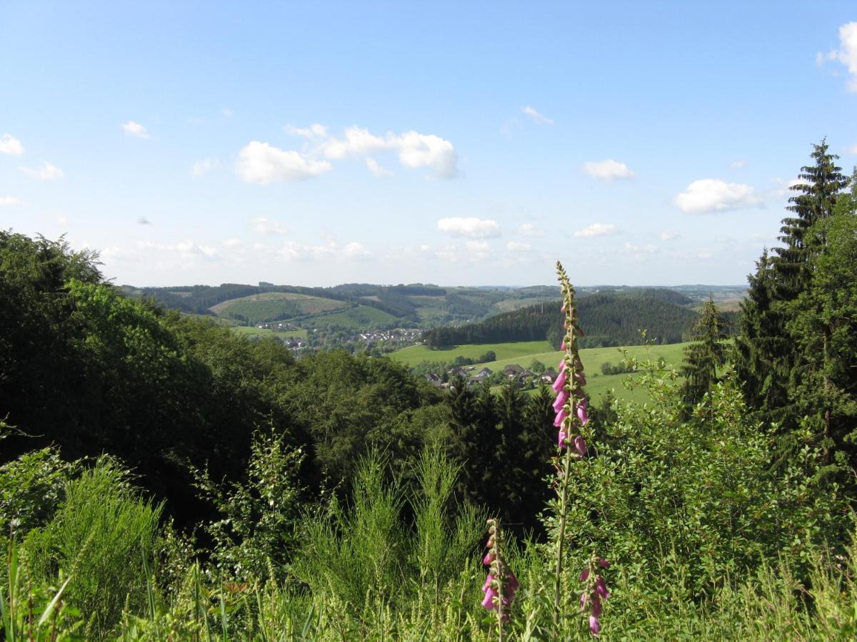 Urlaub Im Naturgarten Bergneustadt Kültér fotó
