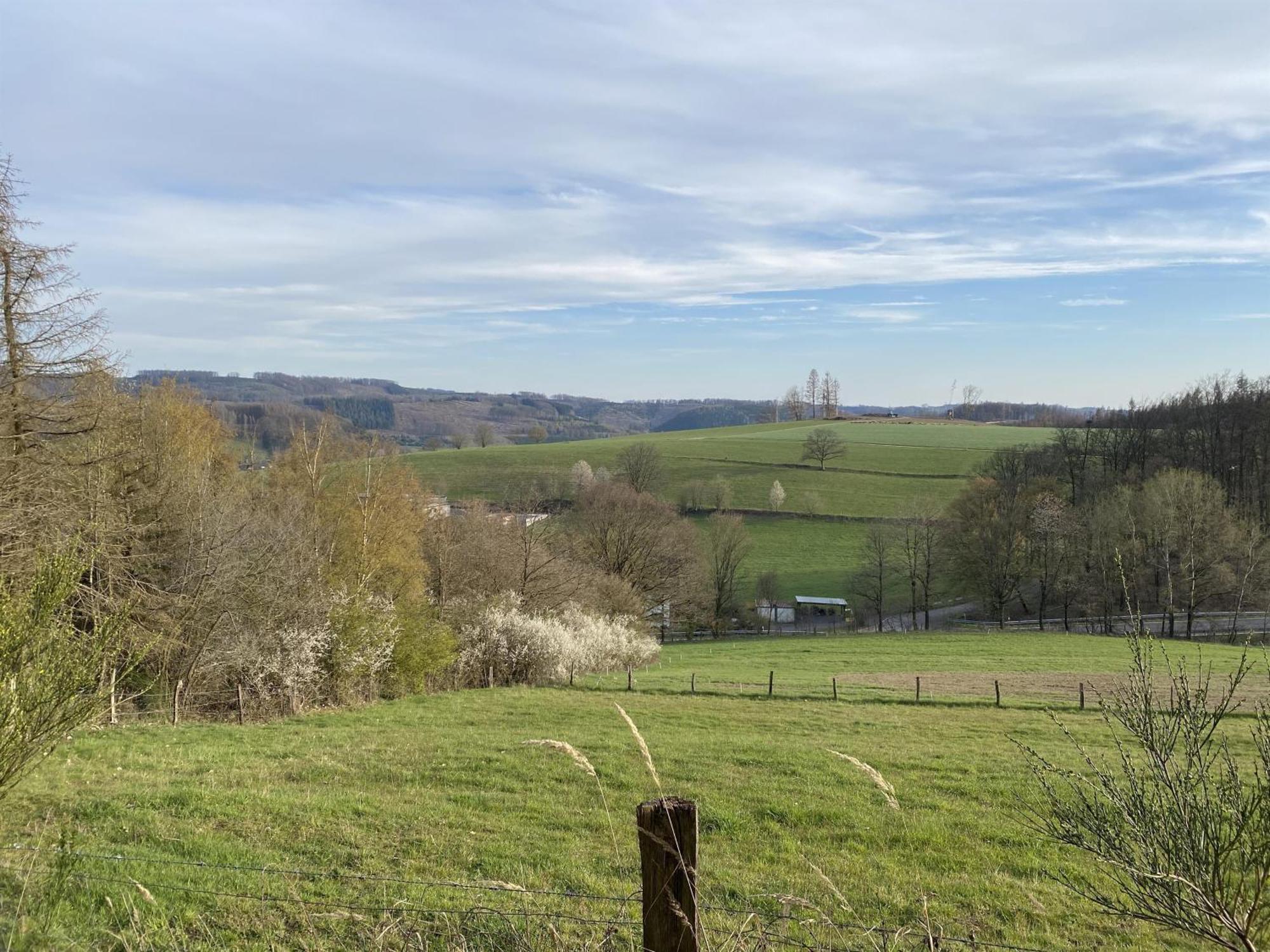 Urlaub Im Naturgarten Bergneustadt Kültér fotó
